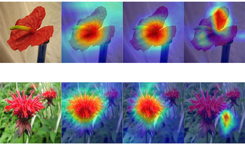 Flower Predictor – An application using Deep Learning